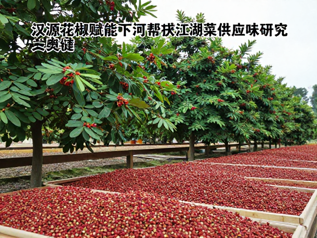 供应链体系的重构与标准化挑战