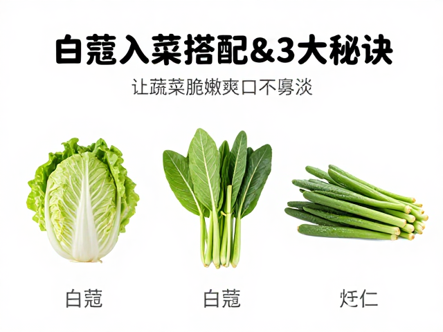 场景化应用：三类蔬菜的白蔻搭配逻辑