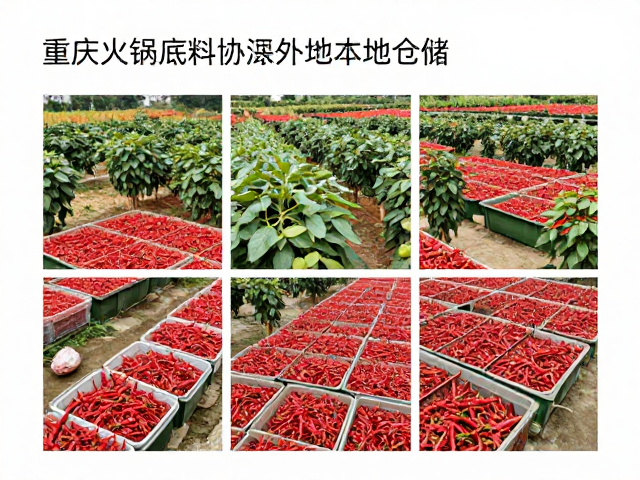 辣椒花椒基地布局与源头品质控制