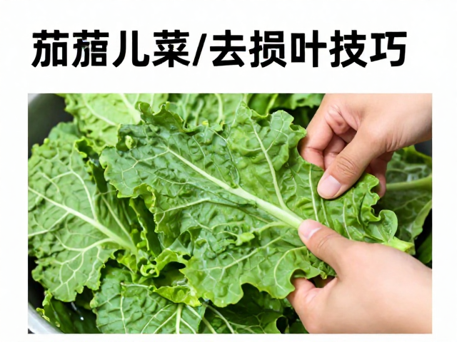 去损叶的核心手法与叶片保护