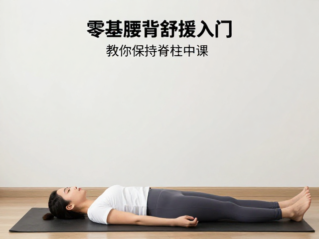 零基础腰背舒缓入门，核心稳定训练课，教你保持脊柱中立