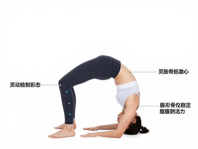 解锁核心灵活性的螺旋力学路径