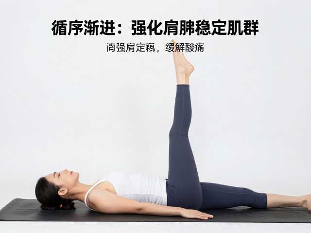 第二阶段:强化肩胛稳定肌群