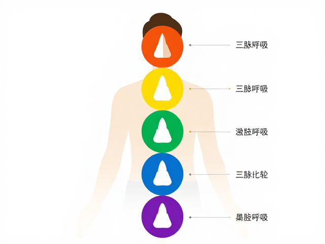 交替呼吸对能量体系的激活机制