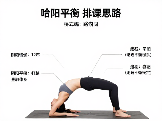 桥式在阴阳平衡练习体系中的具体融入路径