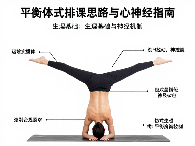 想提升平衡能力？平衡体式排课思路与核心控制练习指南