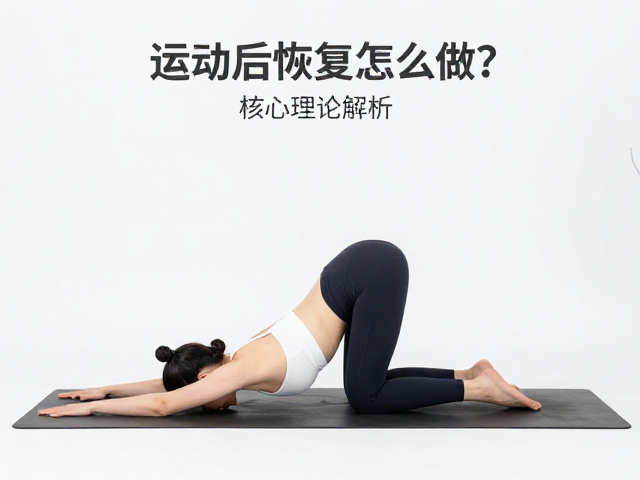 核心动作细节与力学结构解析