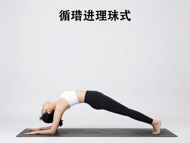 力量整合与等长收缩的控制