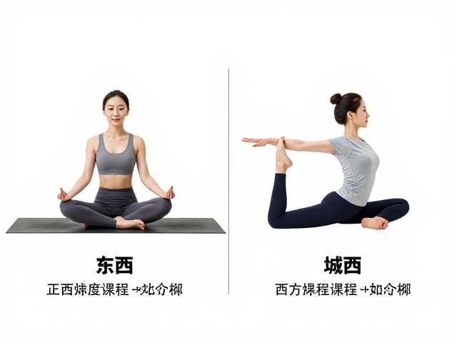 体式正位标准的文化语境差异