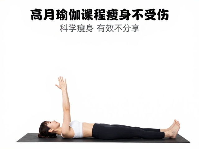 半月式变体的核心稳定与力学分析