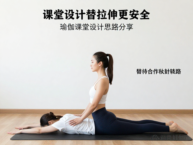 针对常见体式的替代性安全策略
