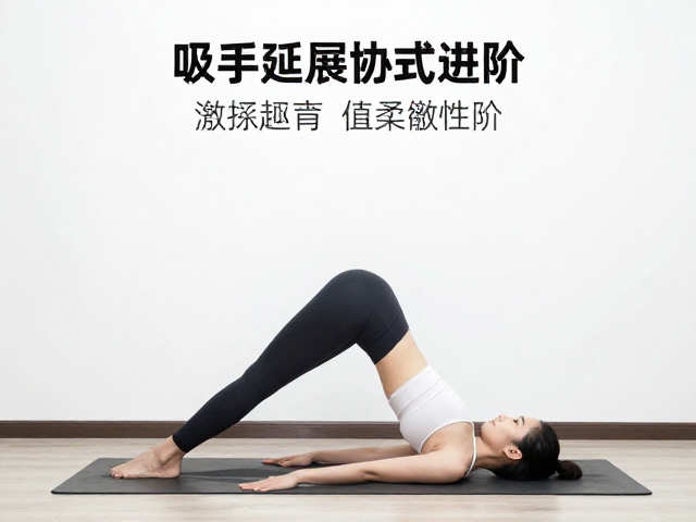 核心激活与柔韧性的协同