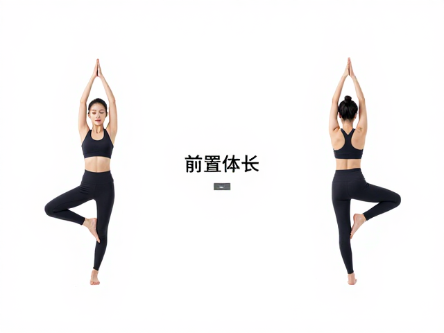整合放松阶段的等频等律回归
