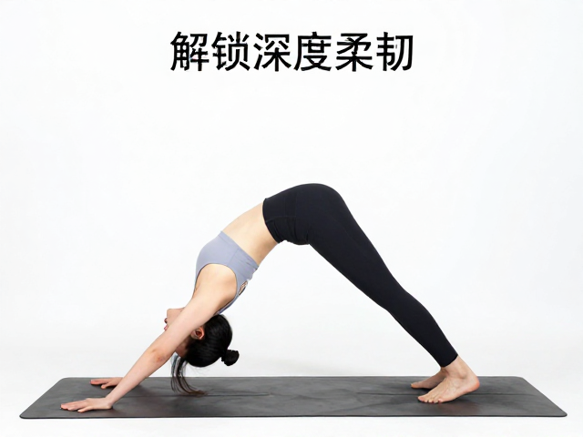 上犬式的标准体式解析与常见误区