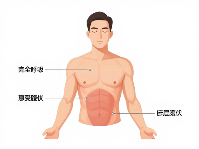 完全呼吸三层吸气讲解，感受腹部起伏，拒绝强行深呼吸