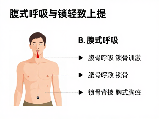 腹式与胸式的整合训练策略