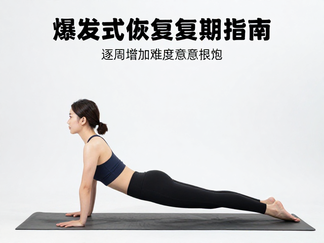 动态稳定性与核心整合