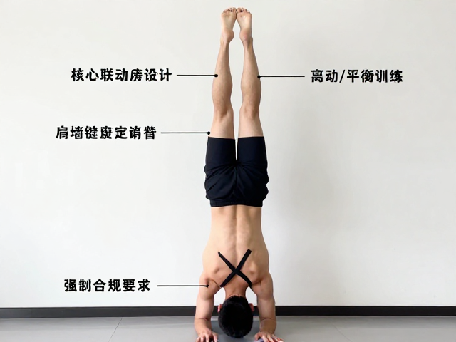 核心联动与动力链整合