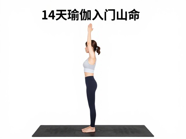 脊柱延展与肩颈区域的放松