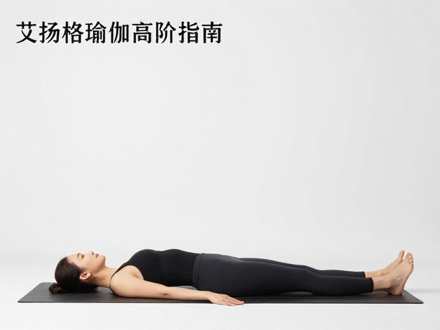 安全进阶的生理基础:力量与柔韧的平衡