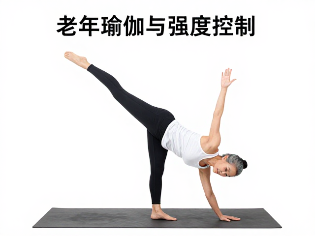平衡训练的关键动作与执行细节