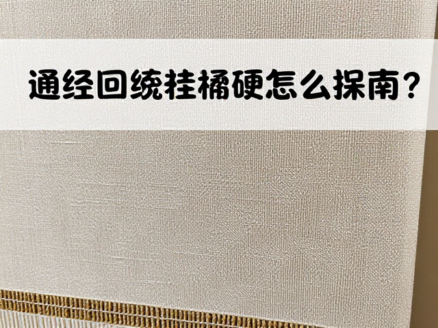 专业清洁与日常维护细节