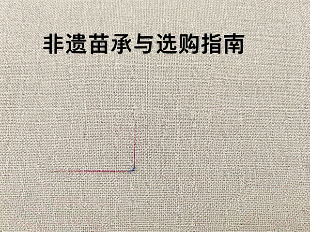 工艺瑕疵的识别与保存要点