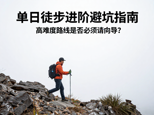 独立行进的决策逻辑:何时该请向导?