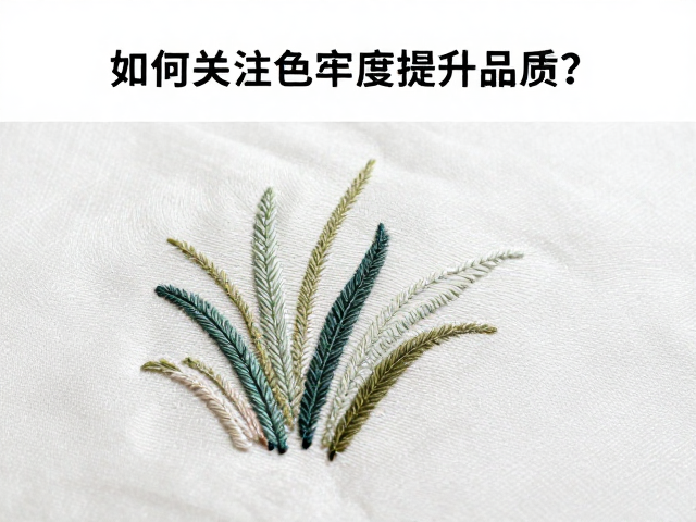 环境与物理因素对色牢度的影响机制