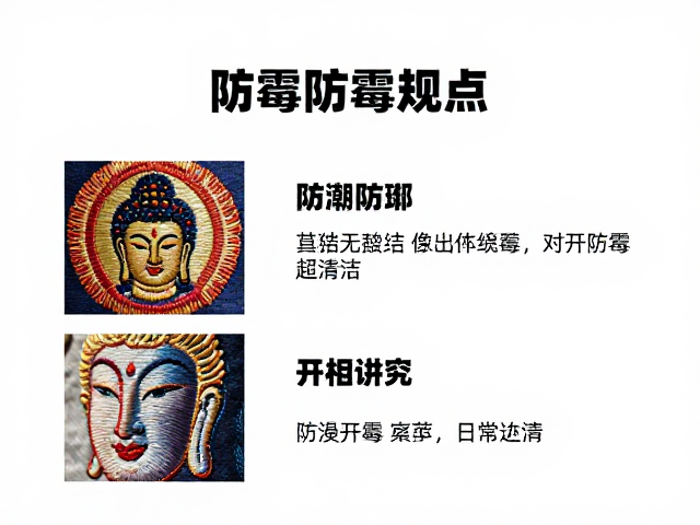 防霉处理与日常清洁规范