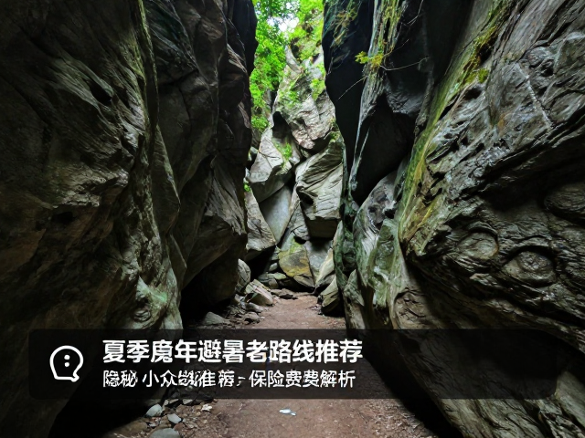 安全注意事项与应急处理