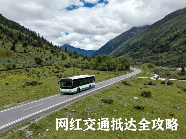网红交通抵达方案:自驾与公共交通的精准衔接