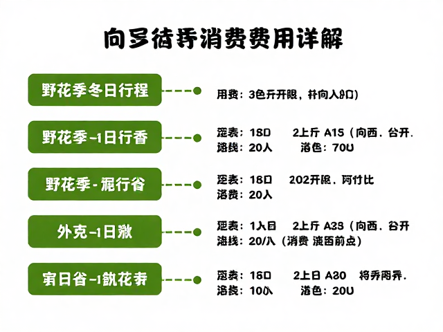 向导服务内容与费用构成解析