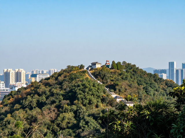 帽峰山:城市边缘的深呼吸课堂