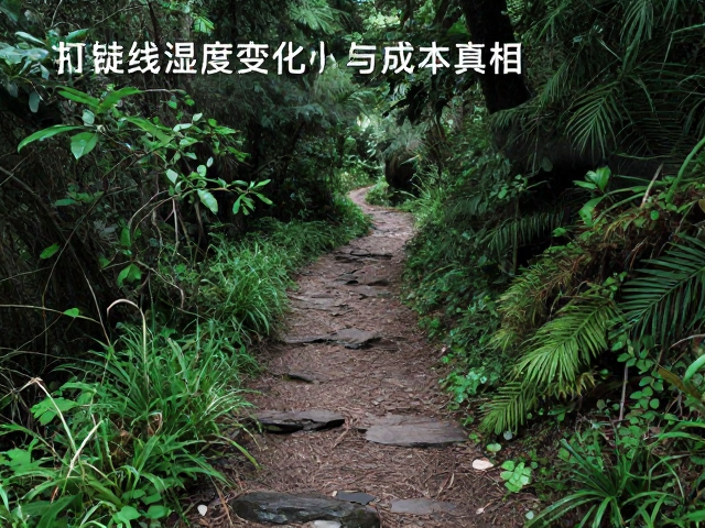路径依赖与地理特征的微观影响