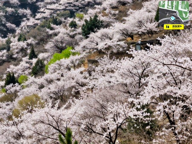 离线地图与导航生存法则