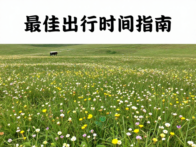 最佳出行时间指南