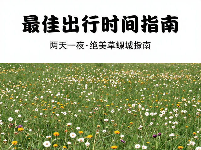 行前准备与实用建议