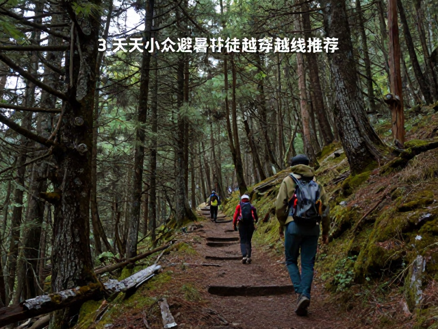 滇西北的原始森林：雨崩村徒步环线