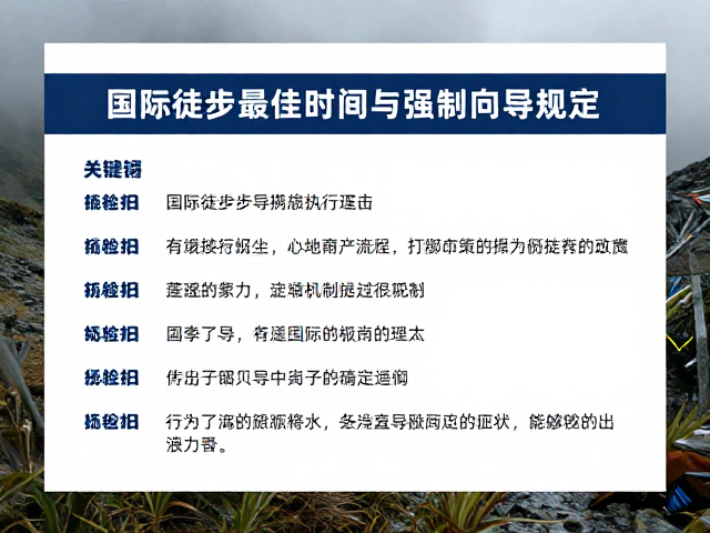 国际徒步强制向导政策的演变与执行现状