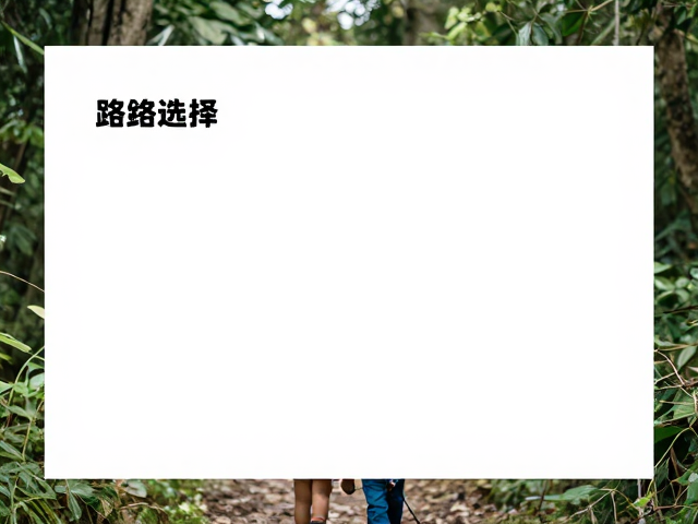 亲子徒步家庭策划,户外摄影记录与线下活动指南