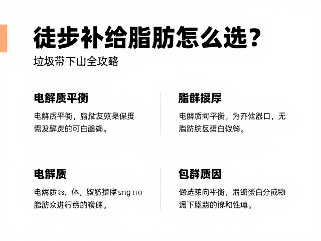 电解质平衡与脂肪摄入的协同关系