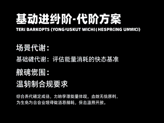 基础代谢：评估能量消耗的静态基准