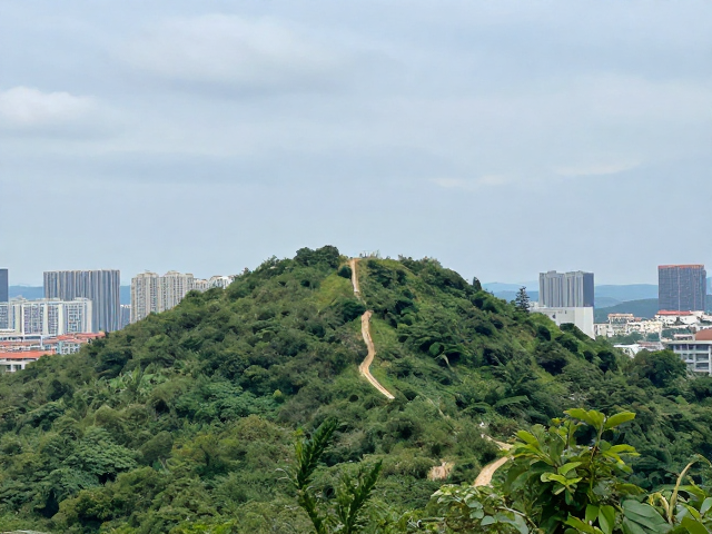 城市近郊宠物友好登山路线推荐,警惕登顶后异常疲劳