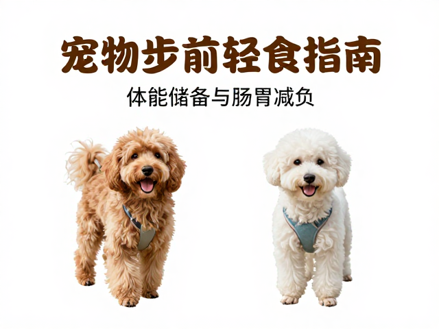 宠物徒步前轻食指南,户外适应训练与中暑降温全攻略