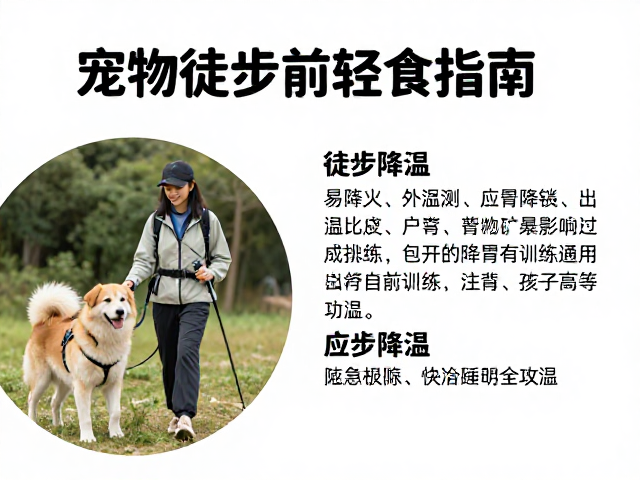 中暑识别与应急降温:关键生存技能