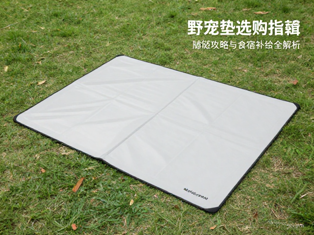 亲子宠物户外野餐垫选购指南,随行攻略与食宿补给全解析