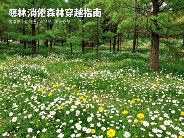 最佳观赏时机与花海生态保护