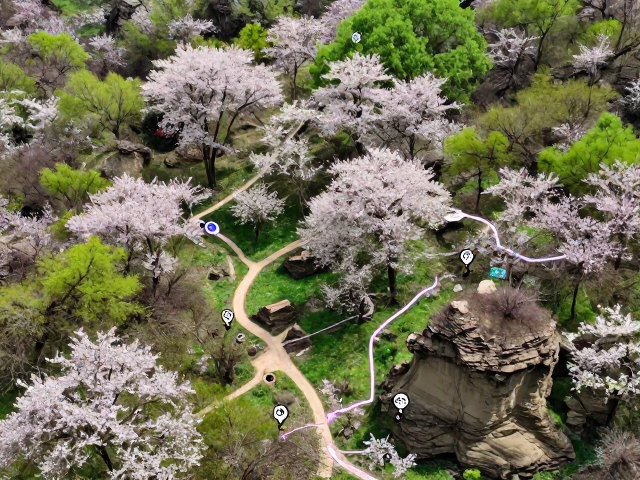 春季花海森林穿越指南,自然景观与地质奇观交通全攻略