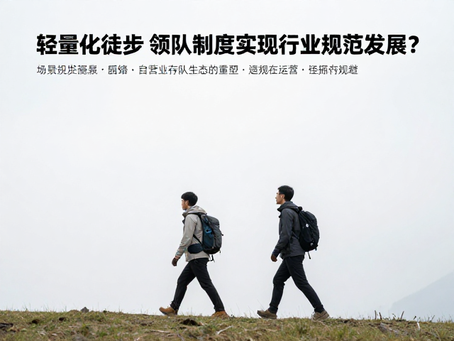 规范化运营对行业生态的重塑